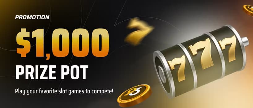 Poker Tournaments